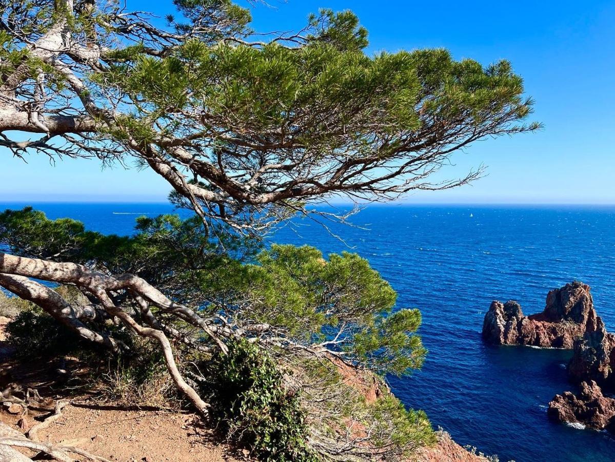 Les Cactus Frejus Plage Luaran gambar