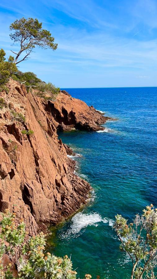 Les Cactus Frejus Plage Luaran gambar