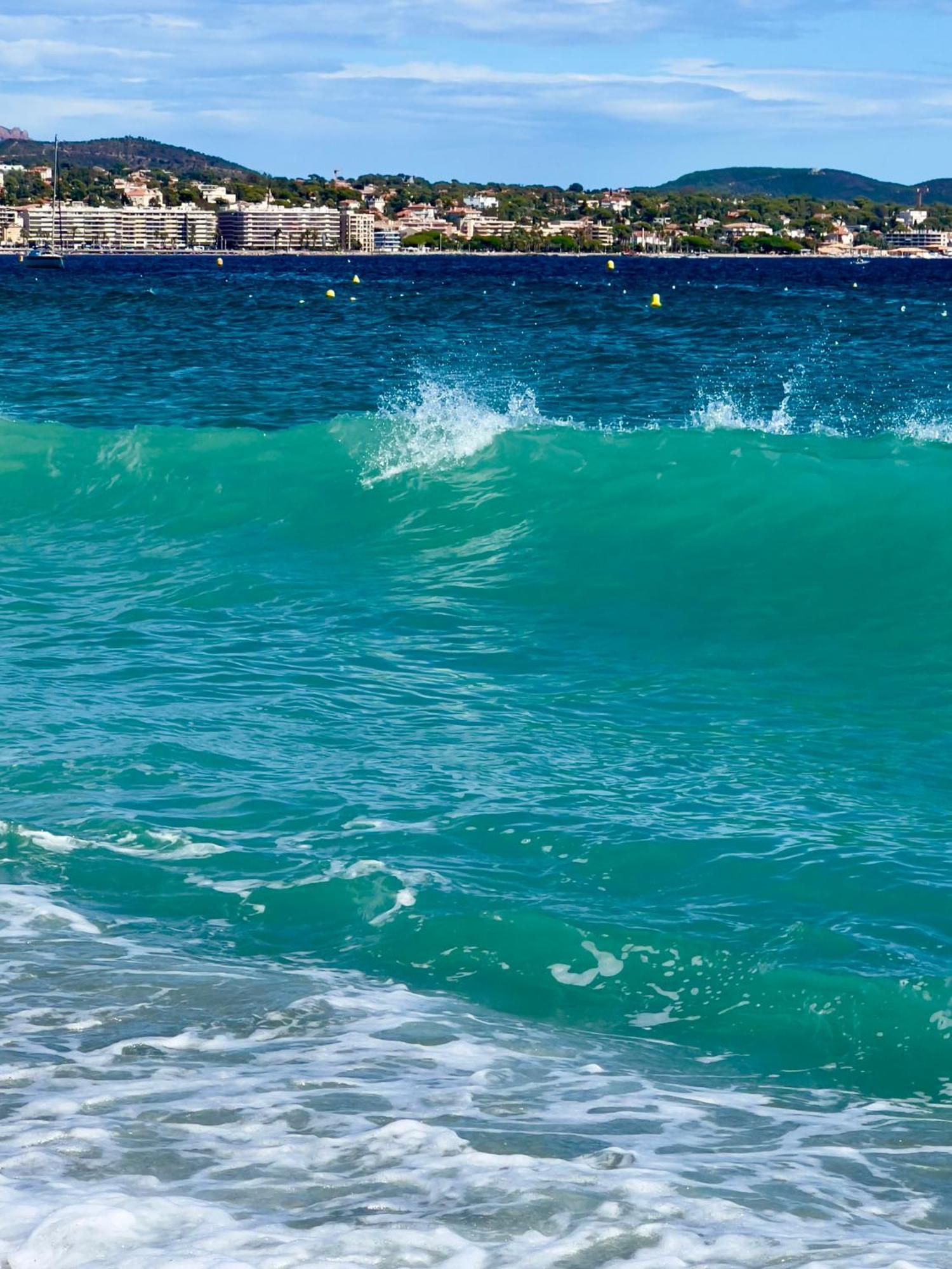 Les Cactus Frejus Plage Luaran gambar